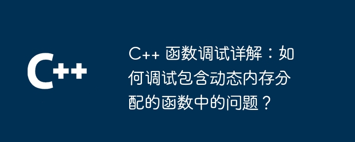 c   函数调试详解：如何调试包含动态内存分配的函数中的问题？