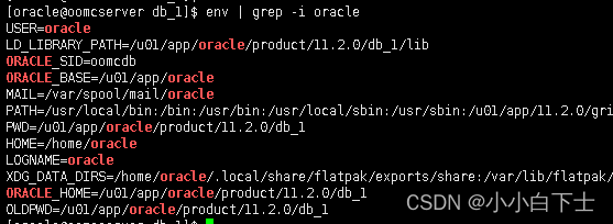 一文解决ora-01034: oracle not available报错