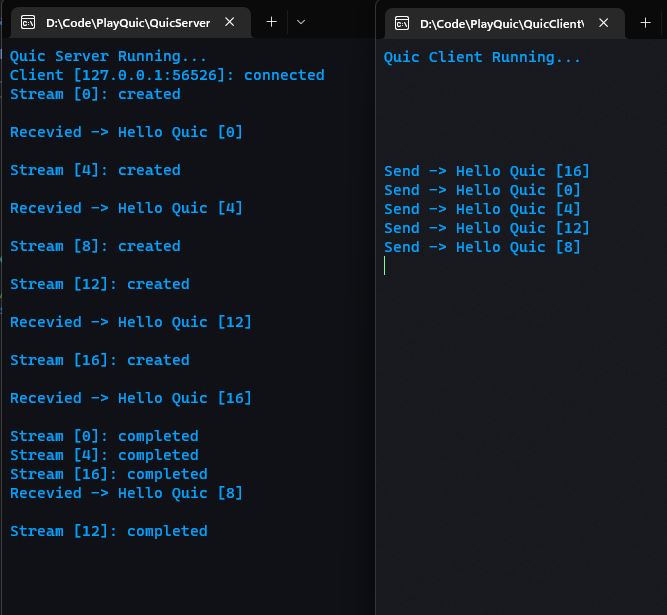 基于.net 7 的 quic 实现 echo 服务的详细过程