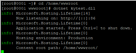 .net6 在中标麒麟下的安装和部署过程