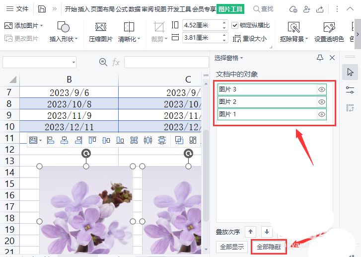 excel表格中图片怎么隐藏? excel表格一键隐藏全部图片的技巧