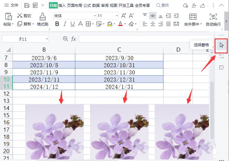 excel表格中图片怎么隐藏? excel表格一键隐藏全部图片的技巧